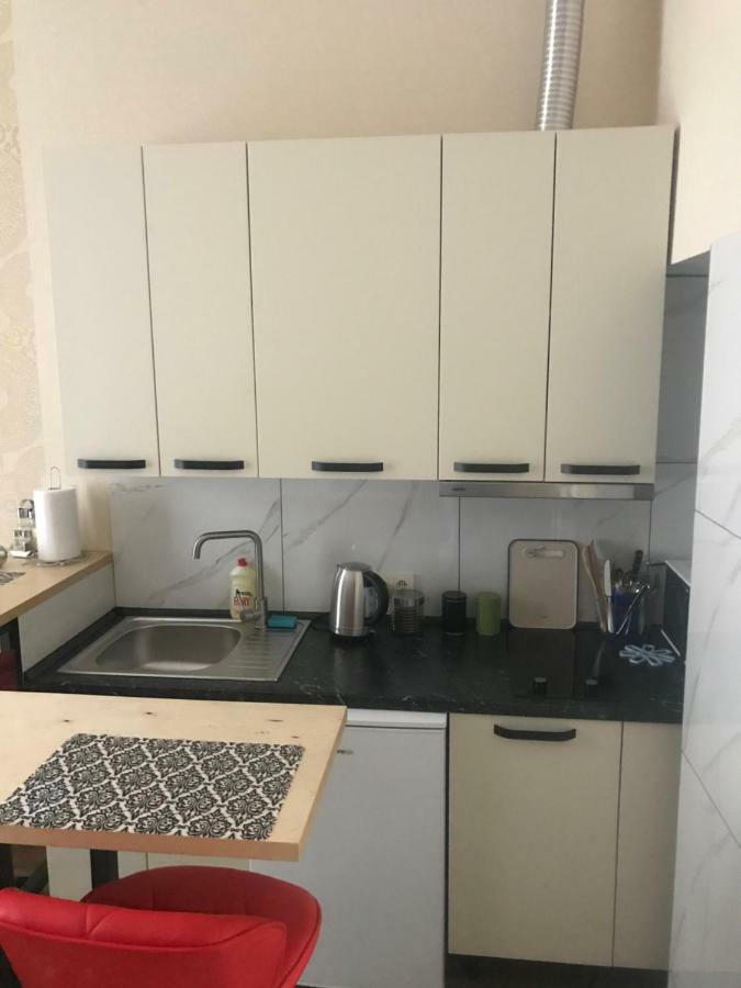 Apartment Barvy Lvova On Kostyushka St Eksteriør billede